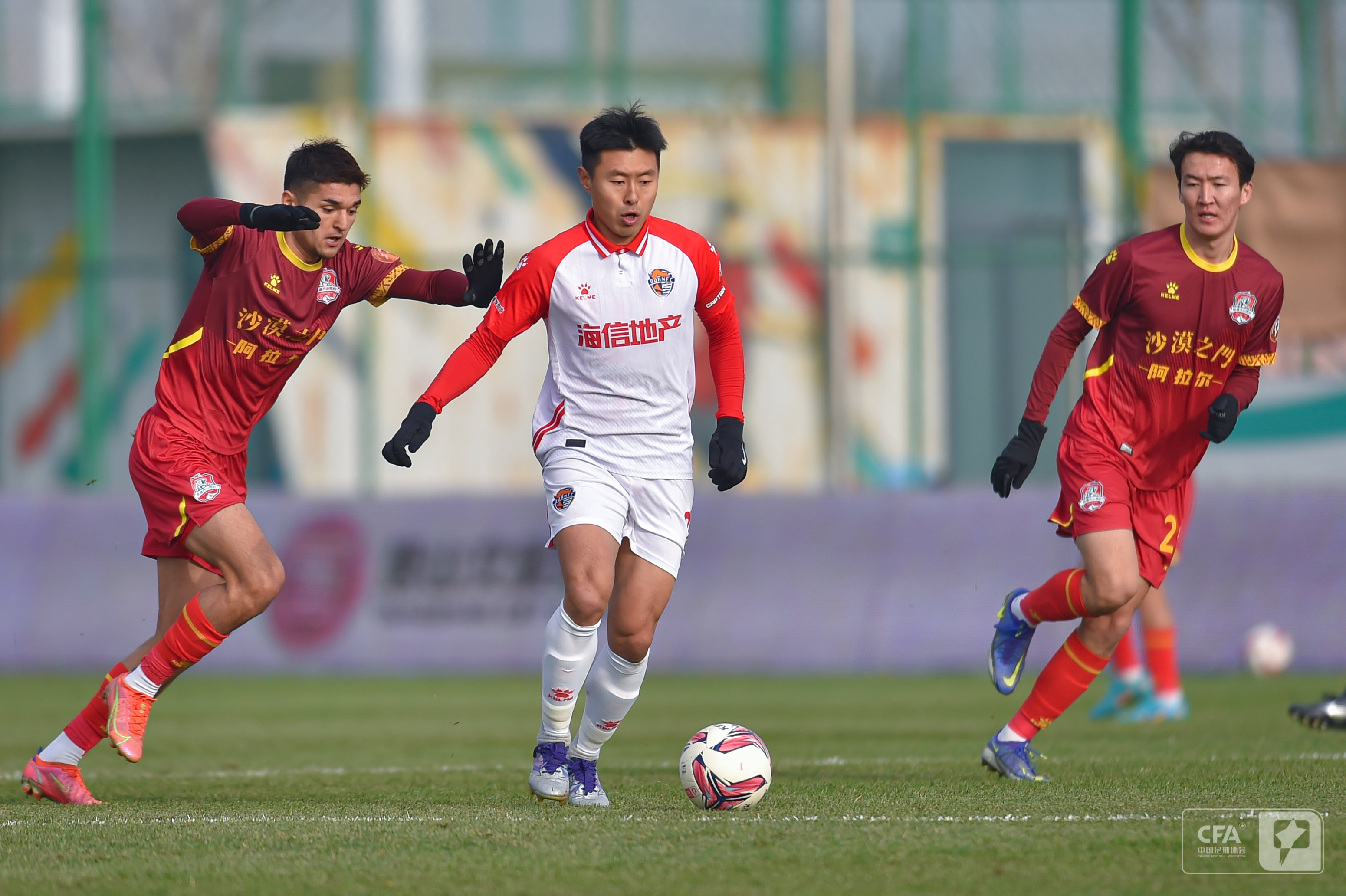 这对搭档不 这对搭档不